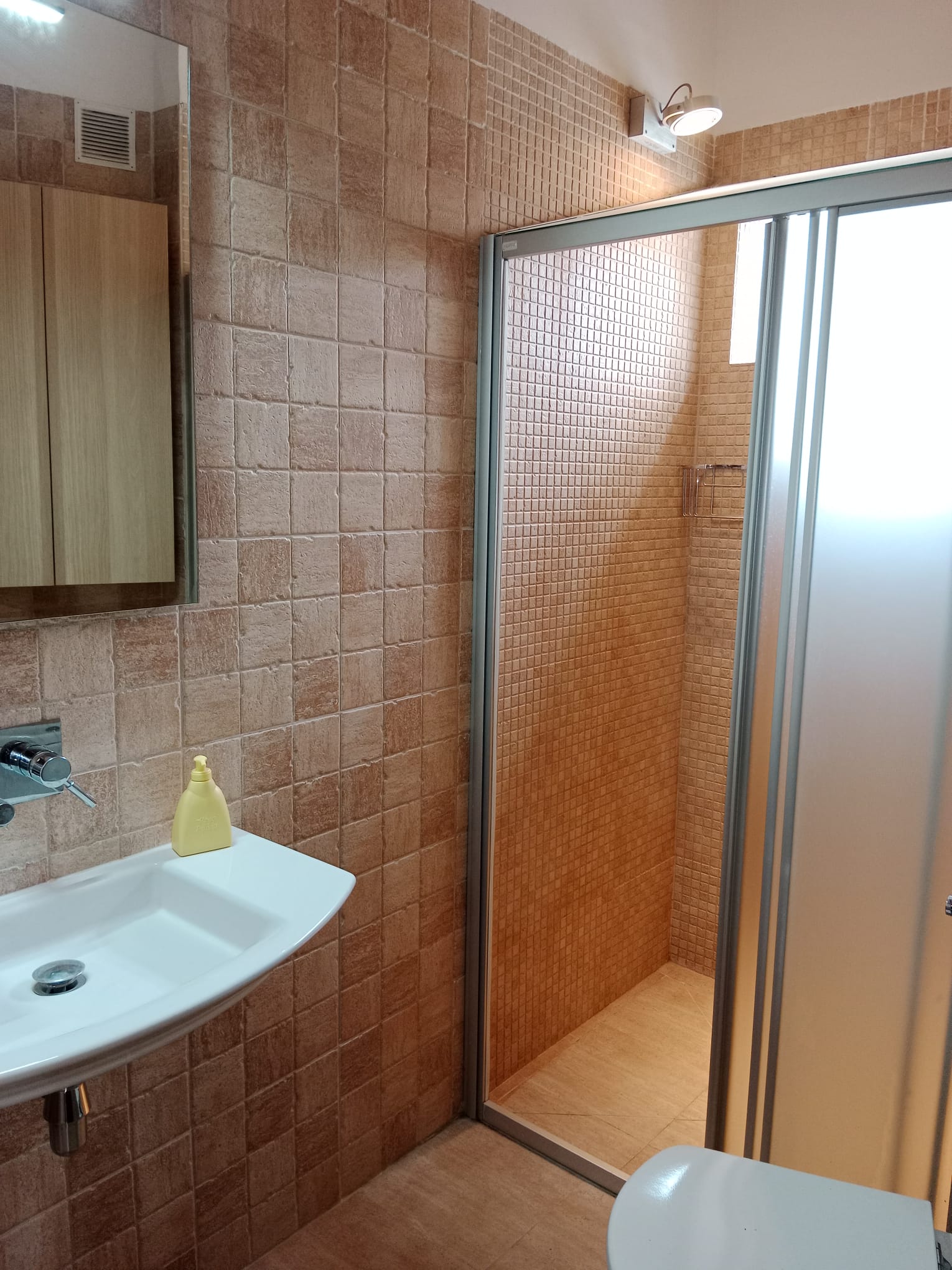 FOTO 11-min CASA en ALQUILER de 130 m2 de obra nueva con materiales de BIOCONSTRUCCIÓN, aislamiento ECOLÓGICO y EXCELENTES VISTAS en LASCELLAS