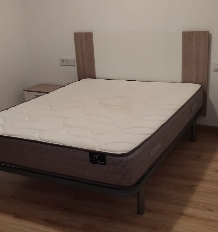 736